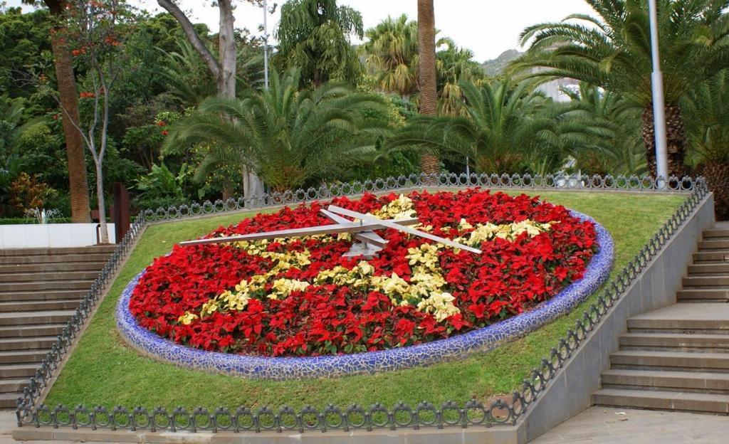 Santa Cruz De Tenerife Toscal Exterior foto